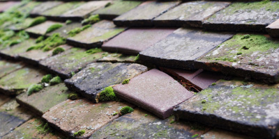 Exceat roof repair costs